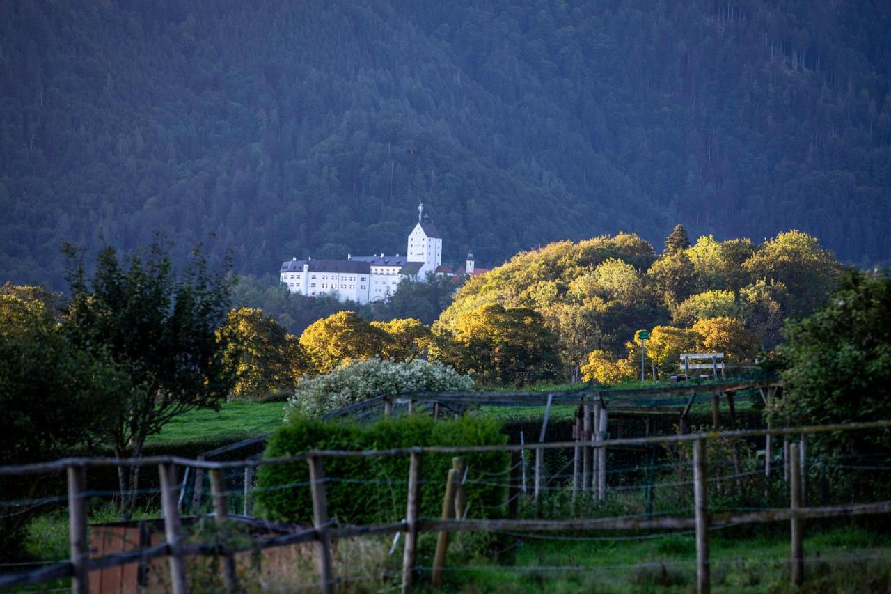 Ferienwohnungen Erlebnisnaturhof Aschau im Chiemgau Exterior foto